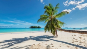 Jamaika Foto iStock lucky-photographer